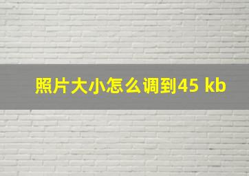 照片大小怎么调到45 kb